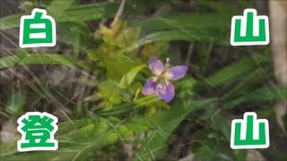 白山登山　-再編集-　2017年6月に登った登山の動画を再編集しました