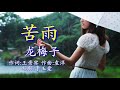 🎵❤一首《苦雨》唱醒多少为爱苦等的人！