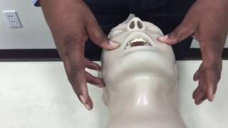 Modified Jaw Thrust
