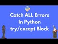 How to catch all Python exceptions in try/except block #shorts