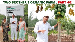 TWO BROTHER'S ORGANIC FARM: PART-02// GINGERCOOKIES//In Hindi with English subtitles