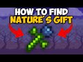 Terraria How To Get Nature's Gift | Terraria Nature's Gift seed 1.4.4.9