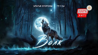 💥 ВЫ ТОЛЬКО ПОСЛУШАЙТЕ ЭТОТ ГОЛОС! Волк – Братья Егоровы / ПРЕМЬЕРА 2024!