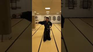 Genko Nito Ryu: Suburi - Online Training