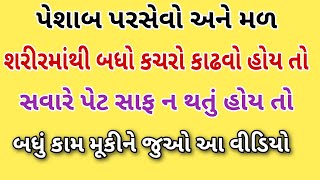 પેશાબ પરસેવો અને મળ દ્વારા શરીરનો બધો જ બિનજરૂરી કચરો એક ઝાટકે બહાર | पूरे शरीर का कचरा हो जाएगा साफ