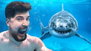 Would You Swim With Sharks For $100,000?