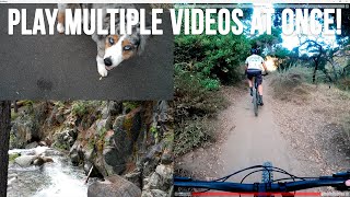 Play Multiple Videos from Your Computer or an Online Source Simultaneously