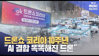 드론쇼 10주년..\