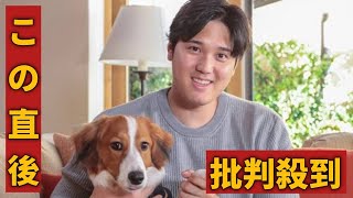 大谷翔平、デコピンと同じ犬種の普及に意欲「デコイが少しでも人気を集めることで」ksksksksksksks