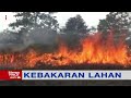 Kebakaran Lahan, Sejumlah Wilayah di Kota Waringin Dilanda Kabut Asap - iNews Pagi 05/03