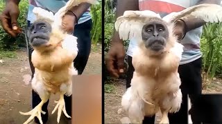 Someone Found A Strange Living Hybrid Animal And Now They're Scared of it