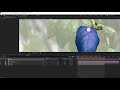Hand Painting Video using Lockdown 2.0