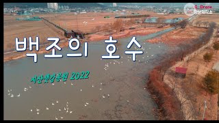 백조의 호수 - 지산샛강공원 2022