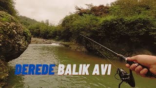 Derede Balık Avı - Irmakta Balık Tutmak - Creek Fishing