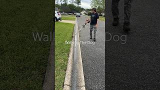 Lawn Edging 104 - Walking The Dog