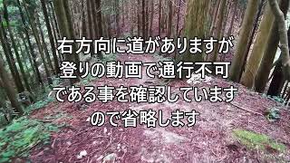 Di85Dちょこっと登山・・ダイトレその６３復路