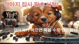 강아지가 먹으면 죽을수도 있는 치명적인 음식