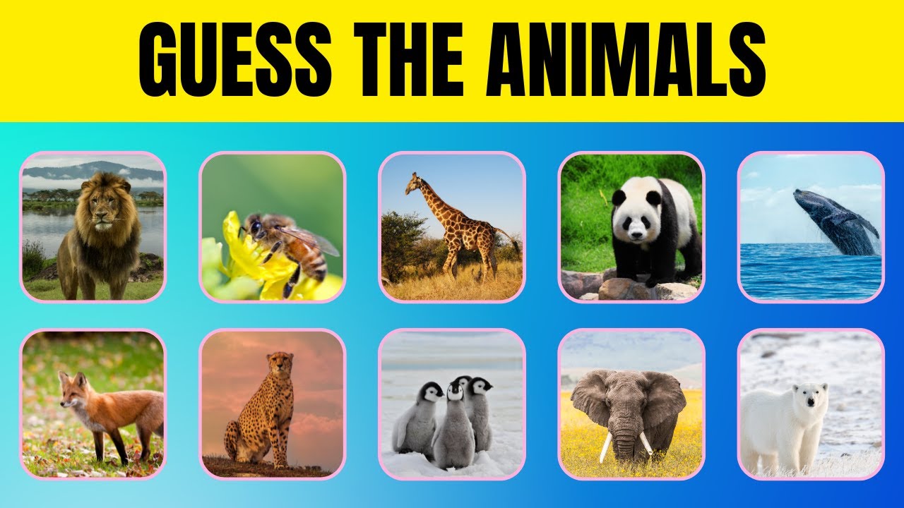 Animal Quiz Challenge Guess 20 Animals In 10 Seconds From Easy To