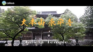 秋雨永平寺　禅の道場　観光　2020-11-23