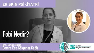 Fobi Nedir?