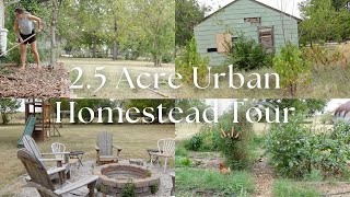 Exploring Our 2.5 Acre Homestead: Late Summer Edition