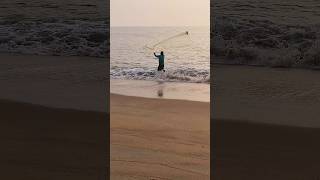 വലവീശൽ #short #trending #fishing  #pesca #shortvideo #佩什 #صيدالسمك #मछलीपकड़ने #মাছধরা