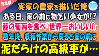 【感動する話】実家でブドウ農家を経営している俺。ある日、家の前で物乞いする少女にブドウを食べさせた「世界一おいしい！」→数年後、実家の前に見知らぬ泥だらけの高級車が停まり…【泣ける話】朗読　総集編