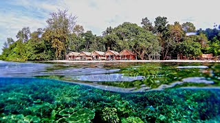 West waigeo. Raja Ampat.