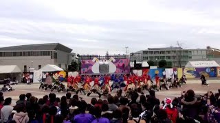 半布里 『HABURI PRIDE』 第18回 岐聖祭 演舞