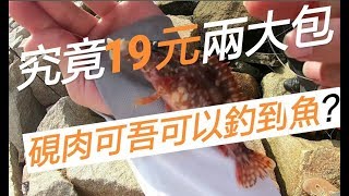 湯米去釣魚-用冰鮮硯肉釣到魚? (按右下角齒輪有字幕)