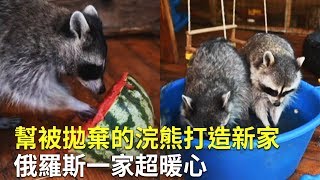 幫被拋棄的浣熊打造新家 俄羅斯一家超暖心｜可愛動物｜流浪動物之家