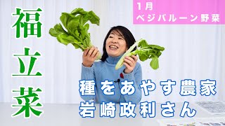 【福立菜】種をあやす農家  岩崎政利さん