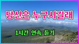 당신은 누구시길래 / 심수봉 / 1시간 연속으로 듣기