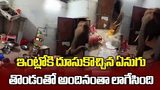 Wild Elephant Sneaks Into House at Coimbatore, Steals Rice Residents Unhurt || Samayam Telugu