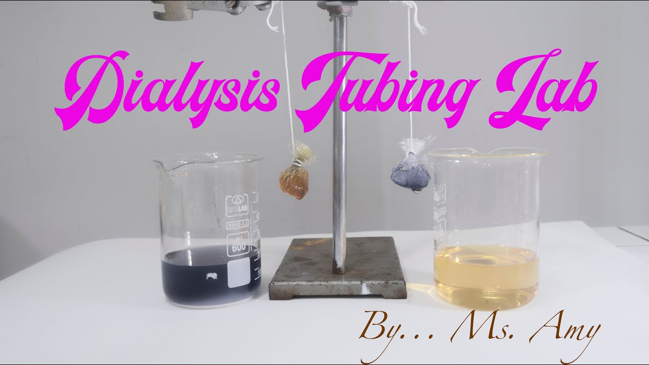 Osmosis Lab Dialysis Tubing At Tammy Pough Blog