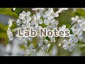 Lab Notes [LYRICS]