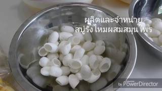 การทำสบู่รังไหม ตุ๋นสบู่รังไหม คลิป 1/4