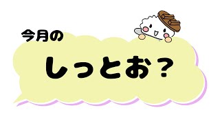 本家かまどや【公式】2024年1月おすすめ新商品「しっとお？」