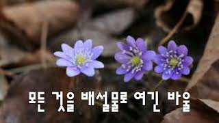 (1582)모든 것을 배설물로 여긴 바울(2024.04.30.큐티)