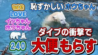 いつものように大暴れしてたホウちゃん。ダイブの衝撃でプール内でウンチ💩を漏らします。「あれ?これ何?」とキョロキョロするホウちゃん。可愛い❤️【イッちゃんホウちゃん240】