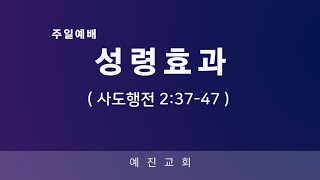 성령효과 (24.08.04/주일예배)