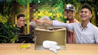 Crazy what's inside the box challenge! Ft iSARB Clan * real animals*