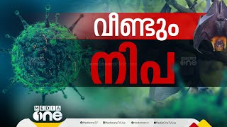 സംസ്ഥാനത്ത് വീണ്ടും നിപ; 15 കാരന്‍ വെന്‍റിലേറ്ററില്‍