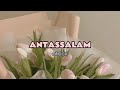 ANTASSALAM (Speed up)