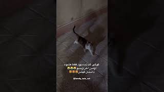 این همه از پسرا گفتیم حالا از دخترا