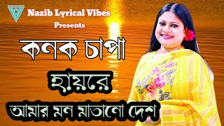 Haire amar Mon matano desh | হায়রে আমার মন মাতানো দেশ |Konok Chapa | Nazib lyrical vibes.