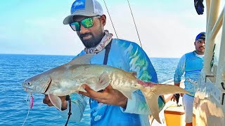 അഴ കടൽ വേട്ട🎣 Awesome trip with verity catches..💥 #abudhabi #fyp #fishinglife #jigging #casting #fun