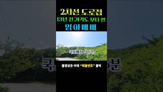 13년 전 가격보다 싸고 2차선 도로접한 임야매매