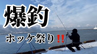 岩内‼️楽しすぎっ‼️カレイ.ホッケが入れ食い‼️