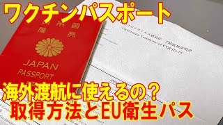 ワクチンパスポート　取得方法と使い方　ヨーロッパ渡航　EU衛生パス　フランス　衛生パス　ドイツ入国登録
